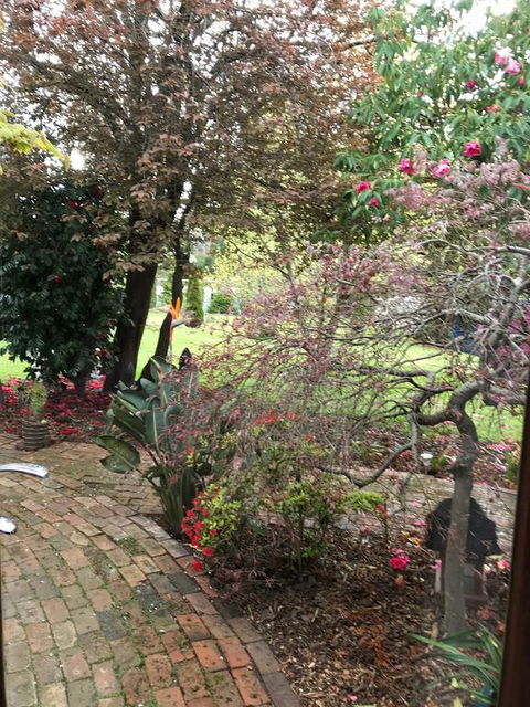 Stony Rise Cottage B&B - Accommodation Melbourne 1