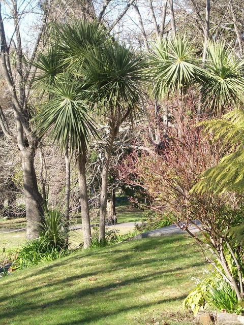 Lucinda B&B - Accommodation Melbourne 23