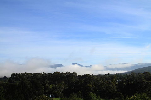 BIG.SHED.HOUSE - Accommodation Melbourne 11