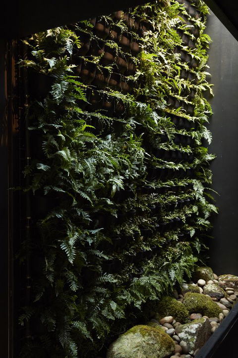 Moss Hotel - Accommodation Melbourne 2