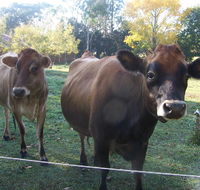 Drumreagh Bed  Breakfast Cabins