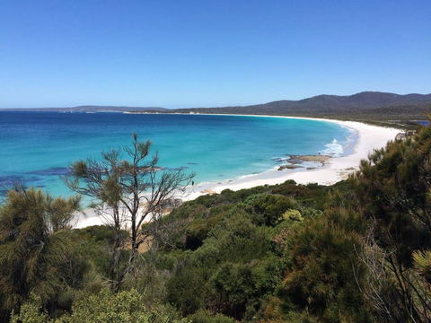 Holland House Bay Of Fires - Accommodation Melbourne 15
