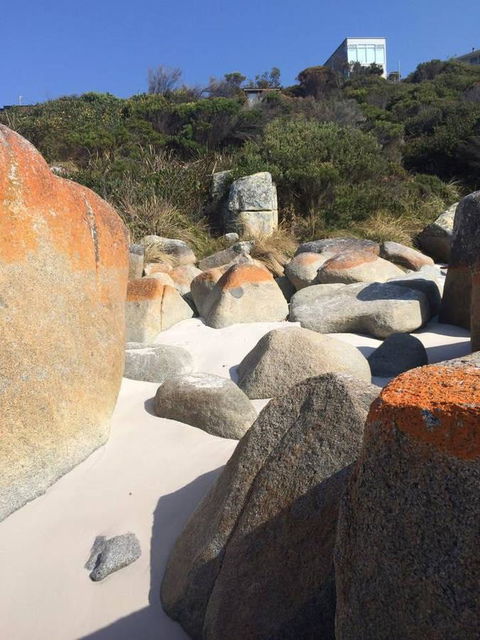 Holland House Bay Of Fires - Accommodation Melbourne 5