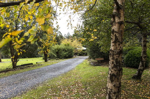 Cradle Forest Inn - Accommodation Melbourne 36