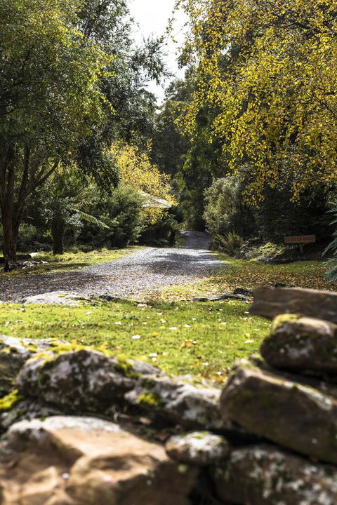 Cradle Forest Inn - Accommodation Melbourne 34