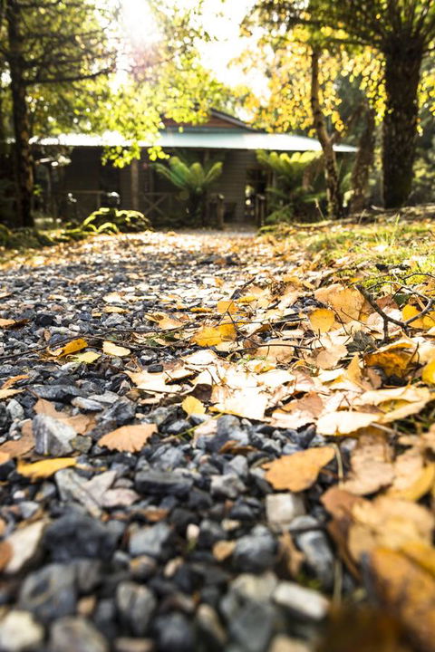 Cradle Forest Inn - Accommodation Melbourne 35