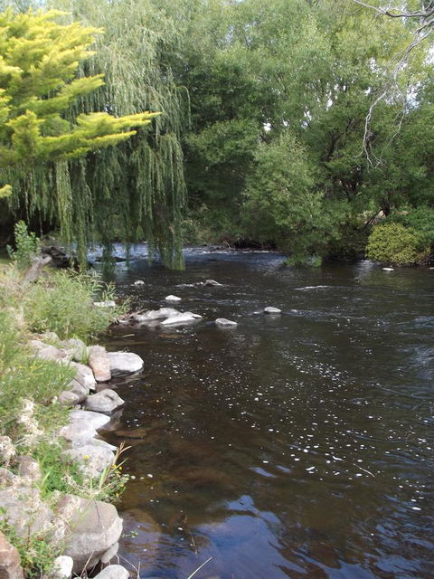 Blue Wren Riverside Cottage - Accommodation Melbourne 7