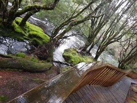 Cradle Alpine Retreat - Accommodation Melbourne 13