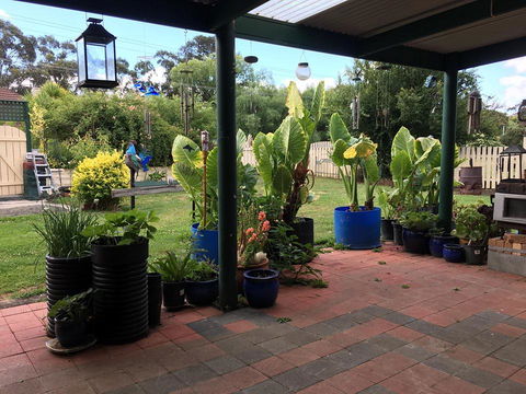 Blue Wren Bungalow - Accommodation Melbourne 0