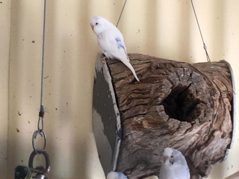 Blue Wren Bungalow - Accommodation Melbourne 12