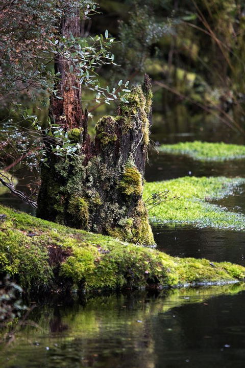 Arthur Riverfront And Sea Lodge Downstream - Accommodation Melbourne 30