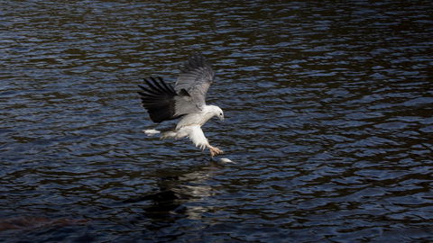Arthur Riverfront And Sea Lodge Downstream - Accommodation Melbourne 38