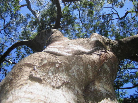 Arthur Riverfront And Sea Lodge Downstream - Accommodation Melbourne 32