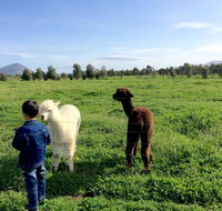 Taras Richmond Farmstay - Accommodation Melbourne