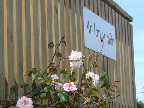 Ar Lan Y Mor - Accommodation Melbourne 12