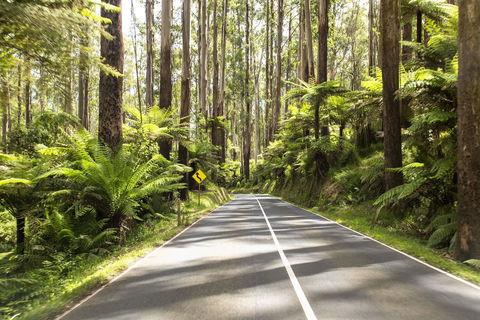 Peppers Marysville - Accommodation Melbourne 21