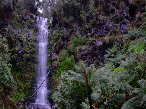 Great Ocean Road Resort - Accommodation Melbourne 16