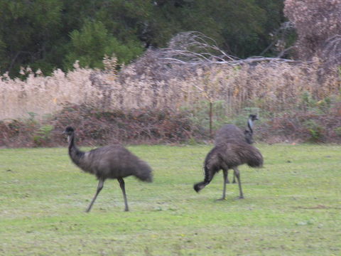The Grampians Motel - Accommodation Melbourne 22