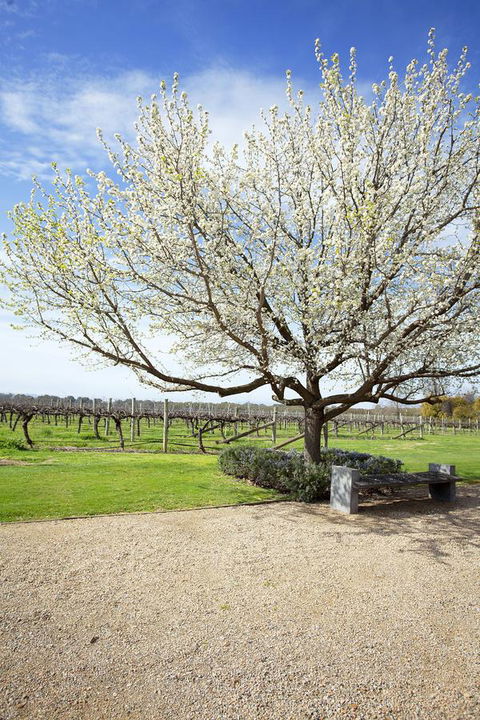 Lancemore Milawa - Melbourne 4u 12