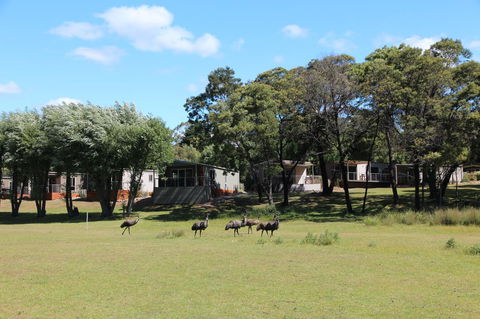 Halls Gap Lakeside Tourist Park - Melbourne 4u 1