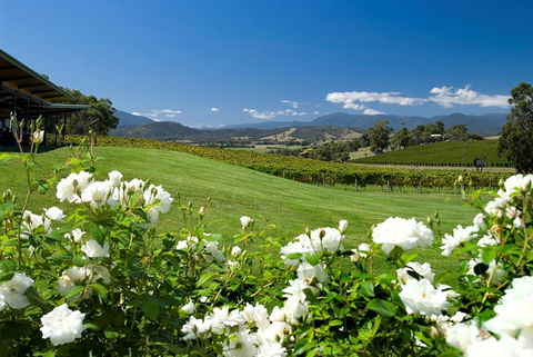 Balgownie Estate Yarra Valley - Accommodation Melbourne 36