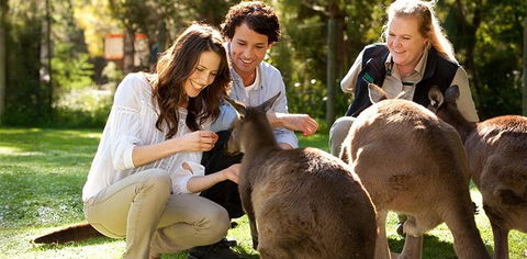 Balgownie Estate Yarra Valley - Accommodation Melbourne 10