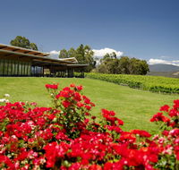 Balgownie Estate Vineyard Resort  Spa - Accommodation Melbourne