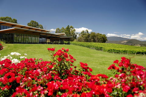 Balgownie Estate Yarra Valley - Accommodation Melbourne 0