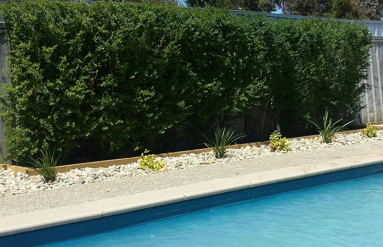 Annuello VIC Accommodation Melbourne