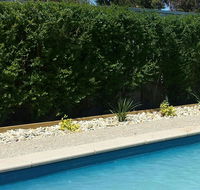 Robinvale Bridge Motel - Accommodation Melbourne