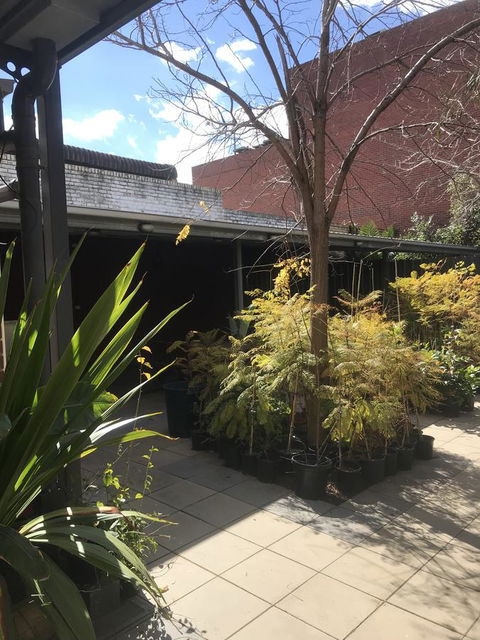 CROWN CENTRAL BUSINESS DISTRICT MOTEL - NO UNDER 18s - Melbourne 4u 21