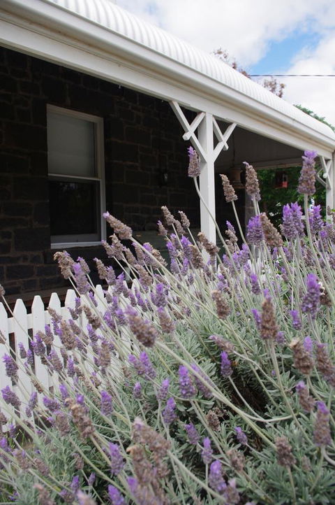 Little River Bed And Breakfast - Accommodation Melbourne 30