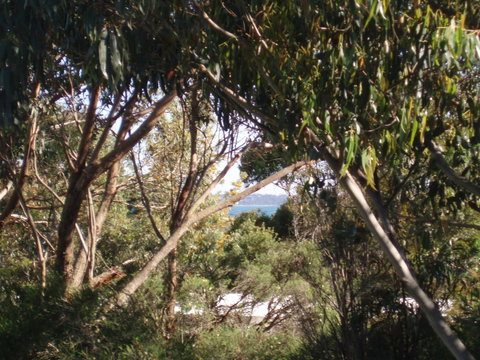 Aloha Ha Phillip Island - Accommodation Melbourne 24
