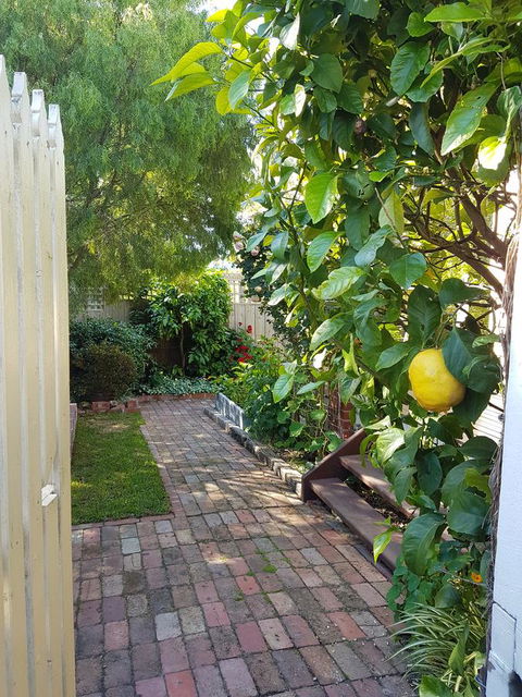 Healesville House - Fig Tree House - Accommodation Melbourne 17