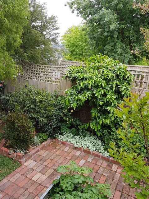 Healesville House - Fig Tree House - Accommodation Melbourne 21