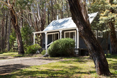 Bodhi Daylesford - Accommodation Melbourne 26