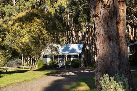 Bodhi Daylesford - Accommodation Melbourne 8