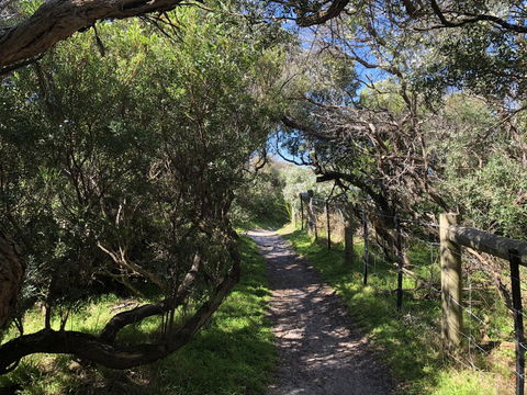 Beautiful, Cosy And Quiet - Melbourne 4u 20