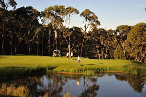 RACV Goldfields Resort - Accommodation Melbourne 31