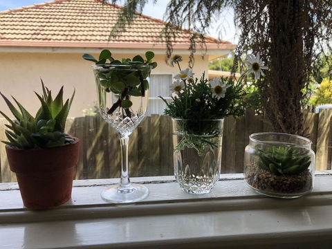 Growse House Yarram 3BR - Accommodation Melbourne 10