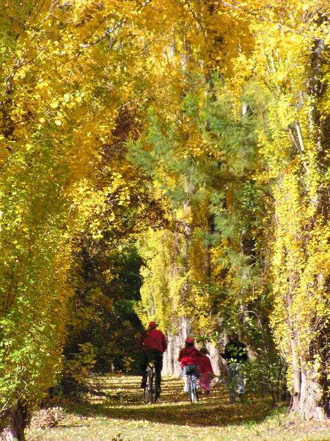 On The Banks - Accommodation Melbourne 15