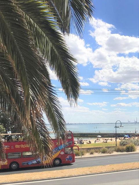 Beach Front Beauty - Accommodation Melbourne 23