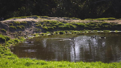 Limosa Rise - Accommodation Melbourne 15