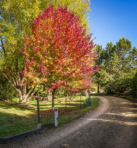 Bright Mystic Valley - Accommodation Melbourne 23