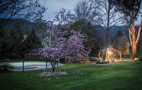 Bright Mystic Valley - Accommodation Melbourne 26