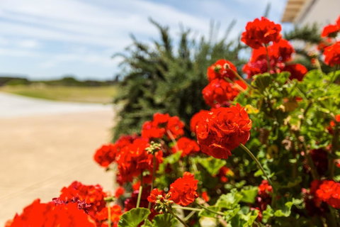 Cottages For Couples - Accommodation Melbourne 13
