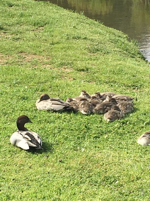 Lakeside Conti Villas - Accommodation Melbourne 17