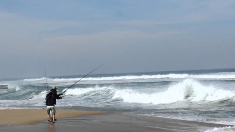 Stunning Waterfront Only 10 Minutes To Phillip Island - FREE EV UNIT 7kW For Electric Cars - Pet Friendly, Fireplace FREE WIFI Wine & Chocolates - Accommodation Melbourne 5