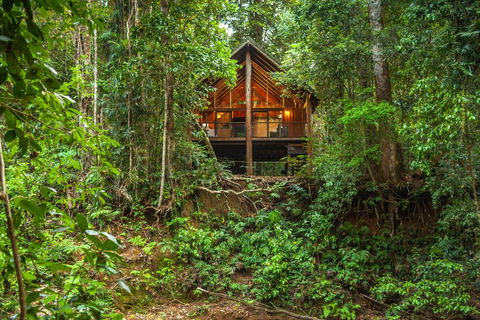 The Canopy Rainforest Treehouses & Wildlife Sanctuary - Accommodation Melbourne 0