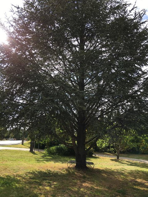 The Glasshouse Boutique Accommodation - Accommodation Melbourne 3